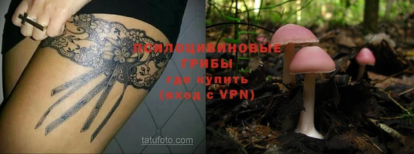 МДПВ Алексеевка