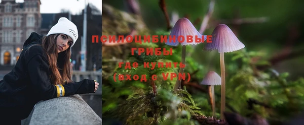 МДПВ Алексеевка