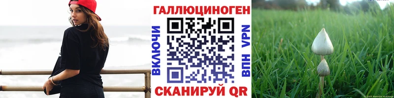 Псилоцибиновые грибы Psilocybine cubensis  как найти закладки  Устюжна 